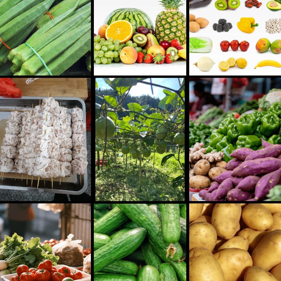 广西融安农家土特产