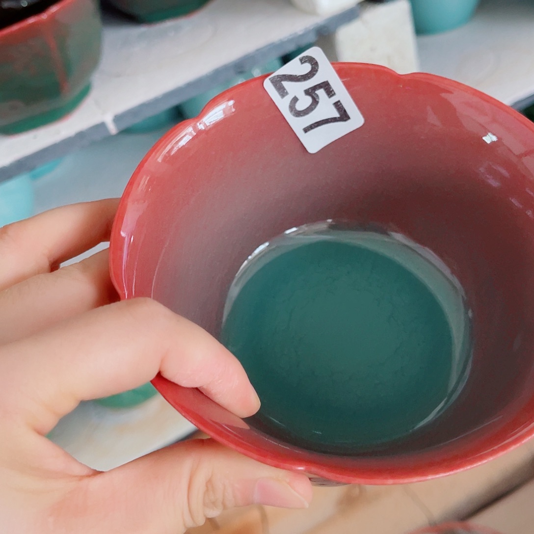 青瓷芍*花哈哈哈哈哈哈哈哈哈姐姐家