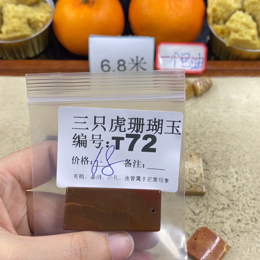 硅化珊瑚（珊瑚玉）1未镶嵌沈*