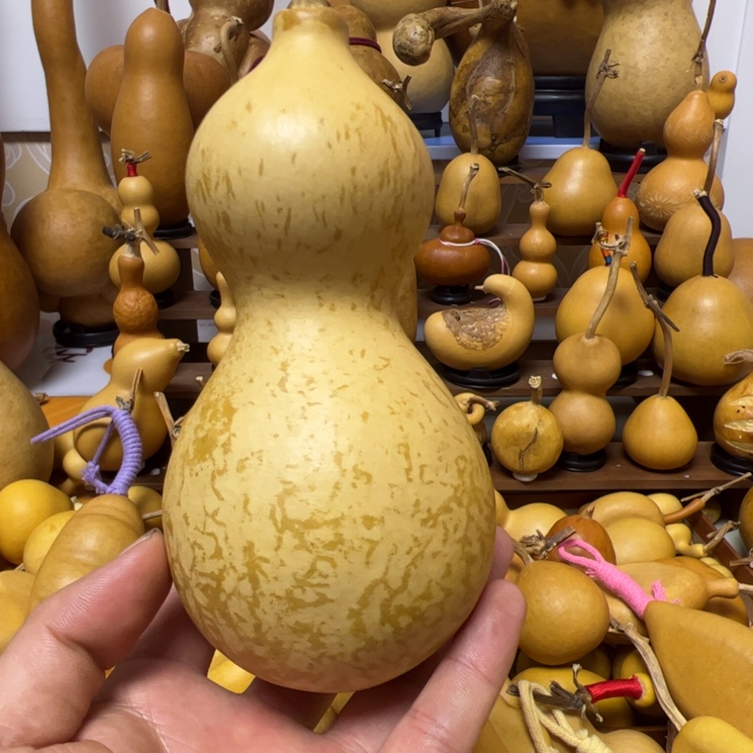 八***斤血丝纹葫芦一把精品