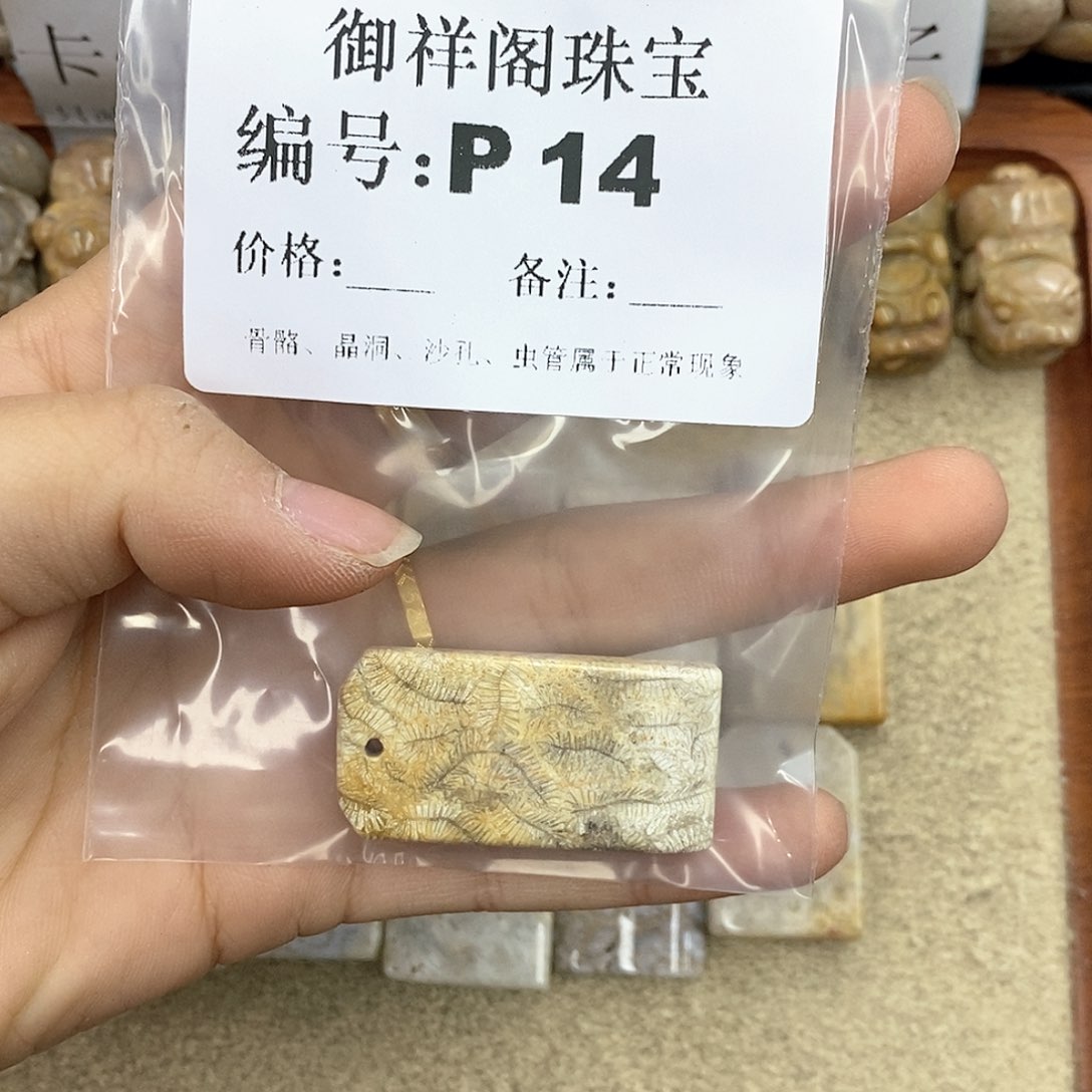 硅化珊瑚（珊瑚玉）L未镶嵌生**息