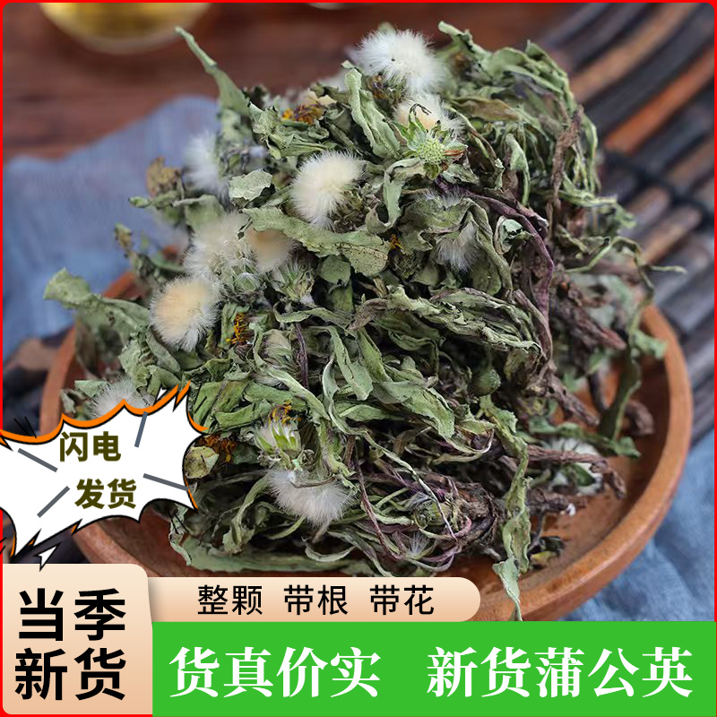 蒲公英茶泡水农家野生整株带根晾晒现挖现晒婆婆丁手捡当季新好货