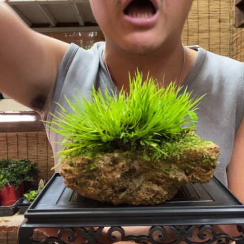 红陶一物一拍所见即所得44