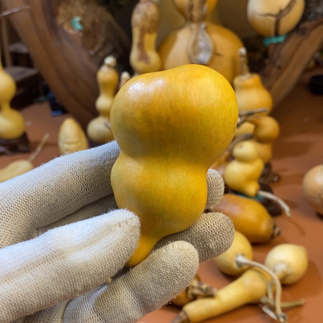 璞***緣教练教练咯哦哦哦啊