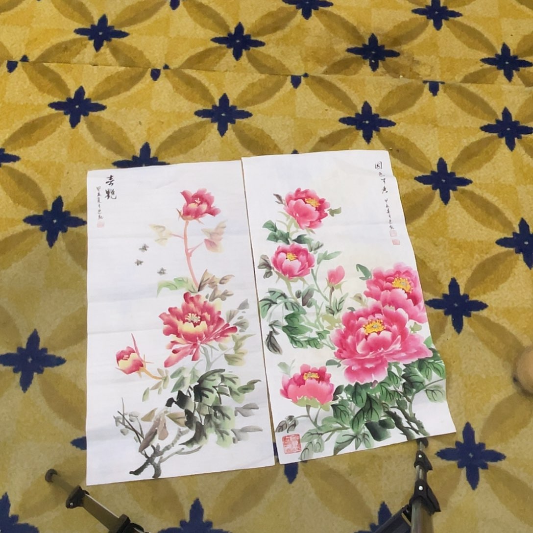 国画迎凯老师四尺四开两张55555