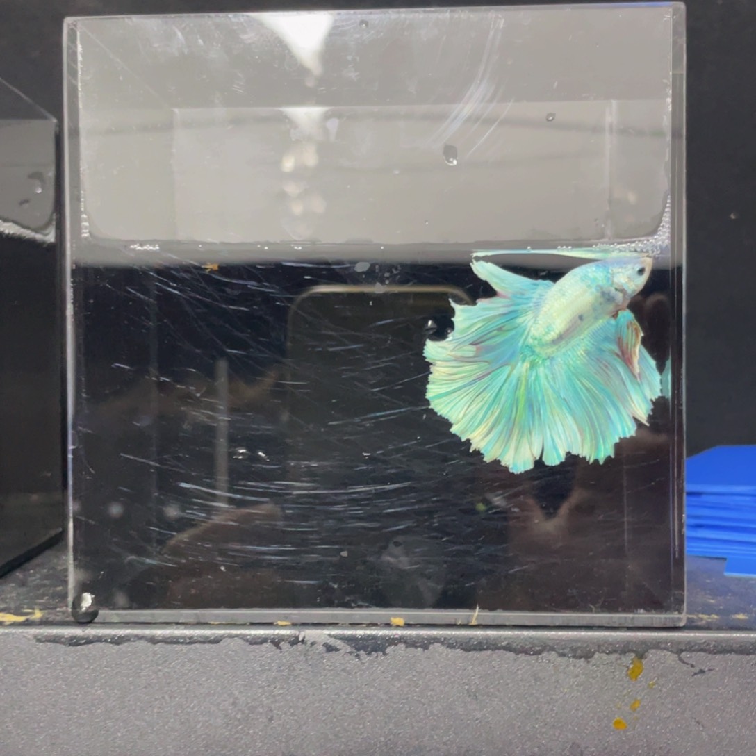 海水哈哈哈啊哈哈哈哈哈哈