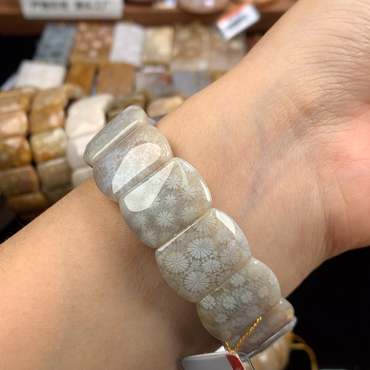 【闪购商品】硅化珊瑚（珊瑚玉）未镶嵌手链蓝白冰满花
