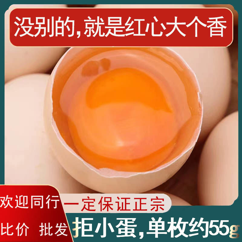 红心土鸡蛋农家散养土鸡蛋拍18个发20,拍36个发40（红心大号2号）