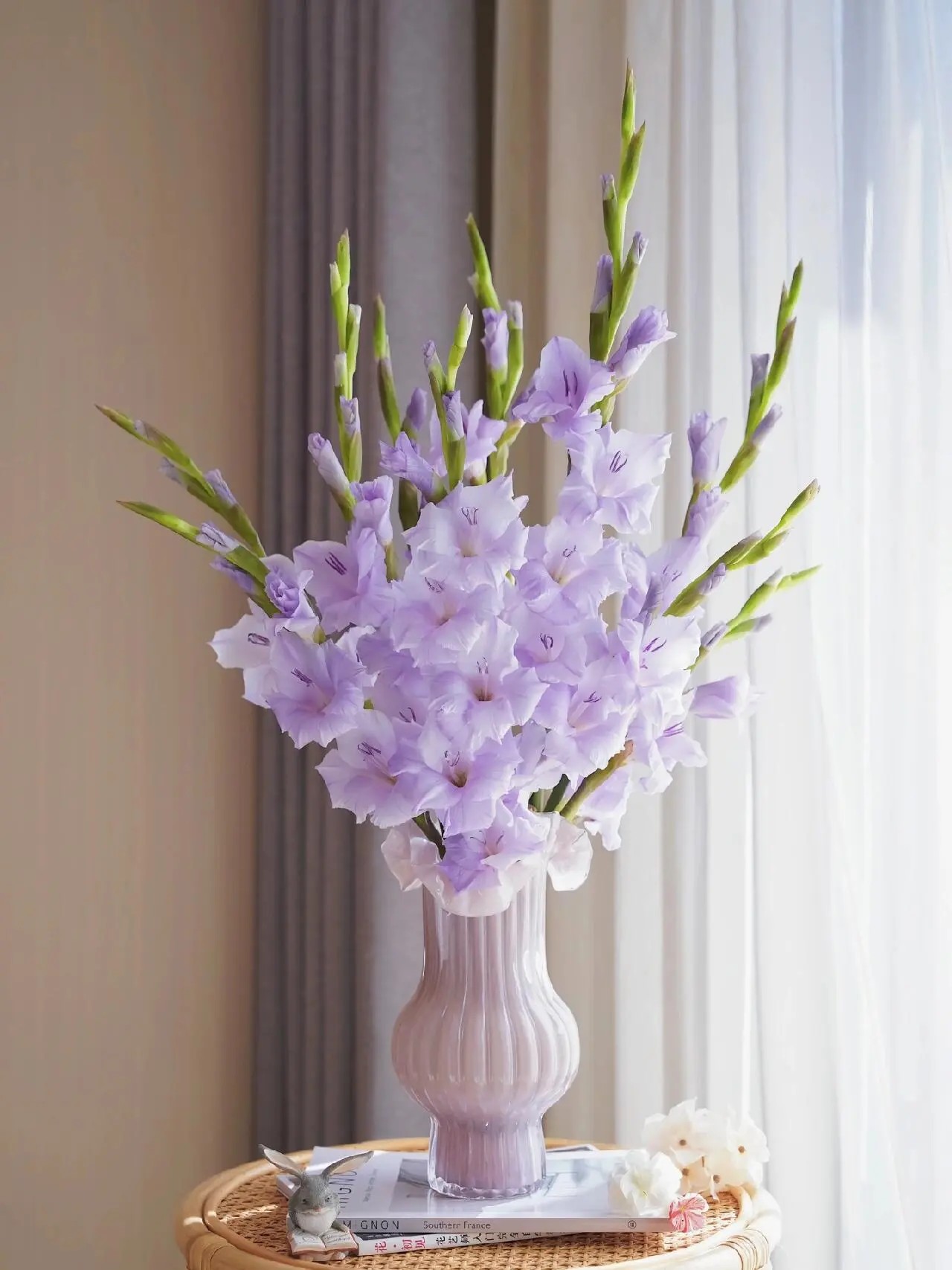 紫奶油风剑兰唐菖蒲水培鲜切花东北鲜花基地顺丰包邮