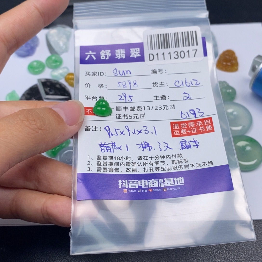 s***t翡翠未镶嵌颈饰D1113017