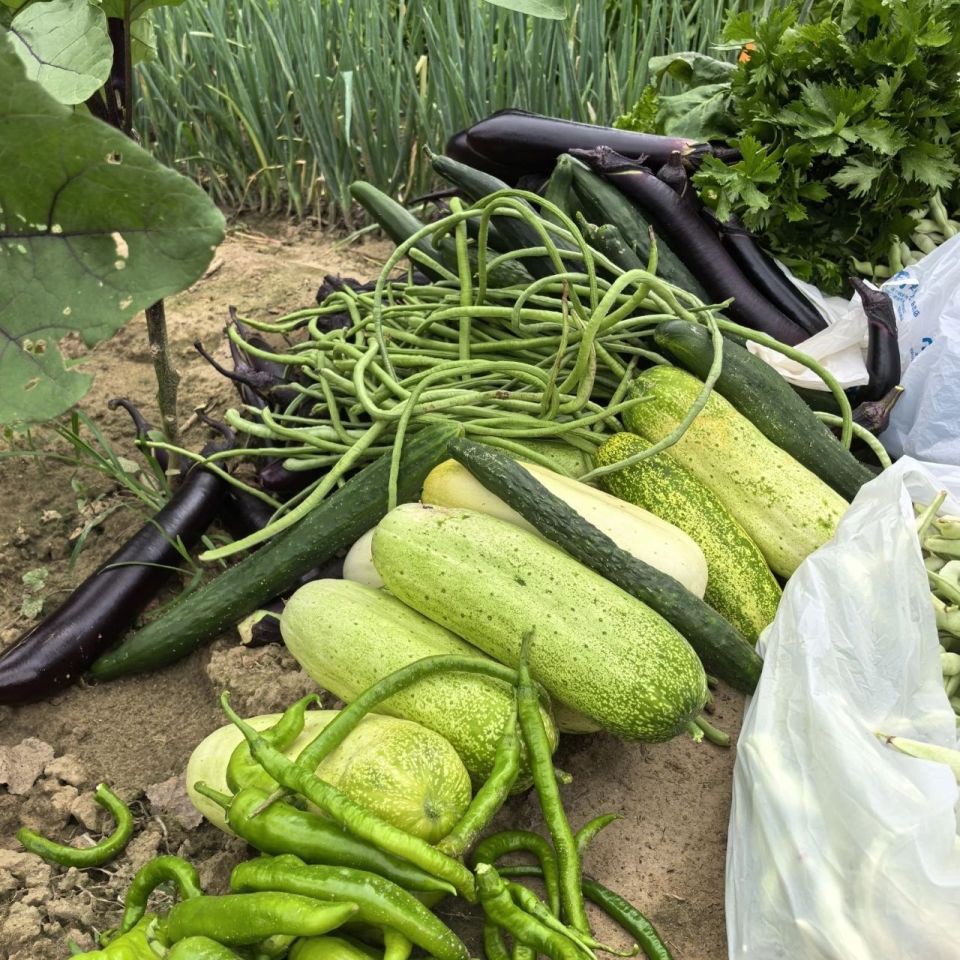 下乡代购本地土特产