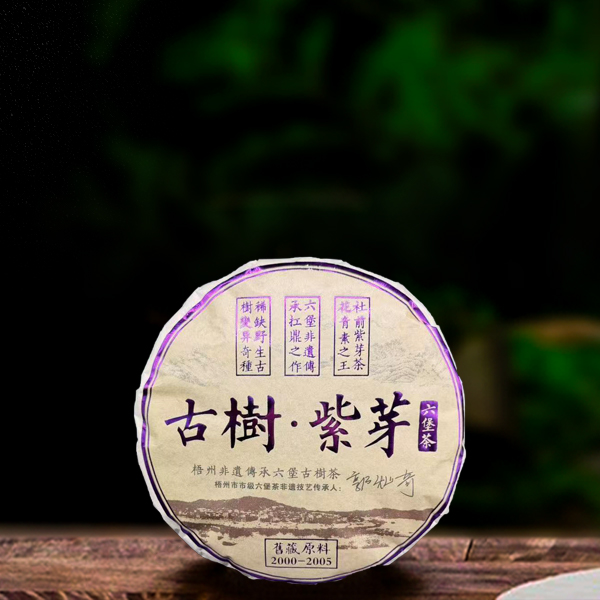 二十五年原料紫芽六堡茶300g