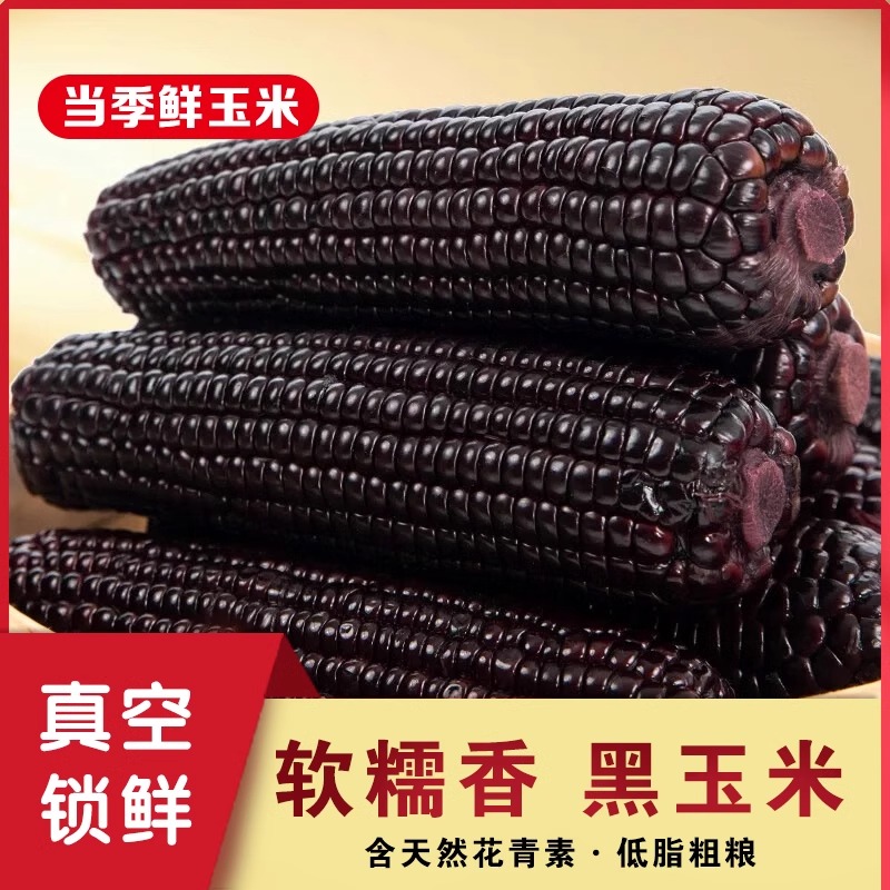 整箱10根【试吃2根】25年新季头茬黑糯玉米整箱单根250g-320g