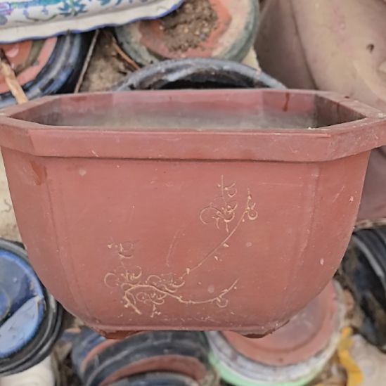 佳***厅紫砂陶瓷花盆一个包邮