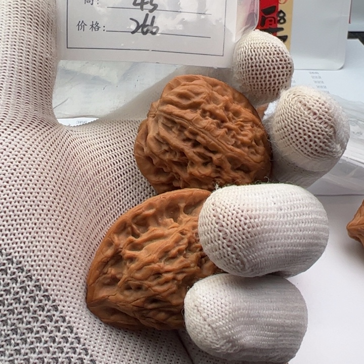 C***哥把件文玩核桃金龟子28