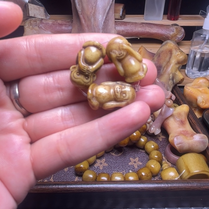 驼骨手串/手链111111111111111