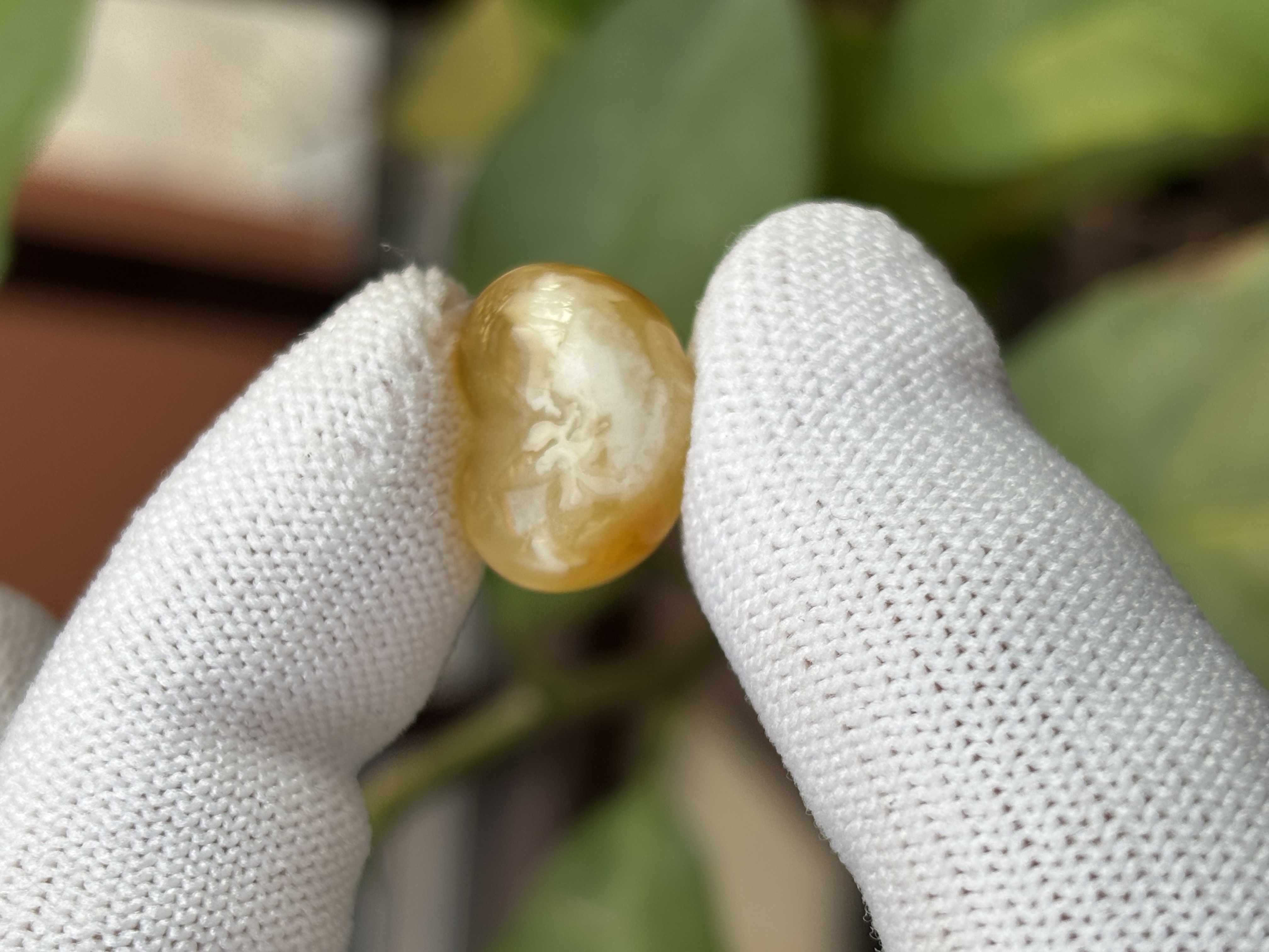 4784天然蜜蜡琥珀屁桃配饰17x13.6x11.5mm