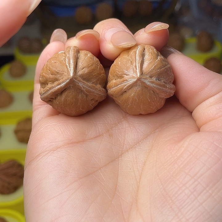 吊坠文玩核桃奔奔