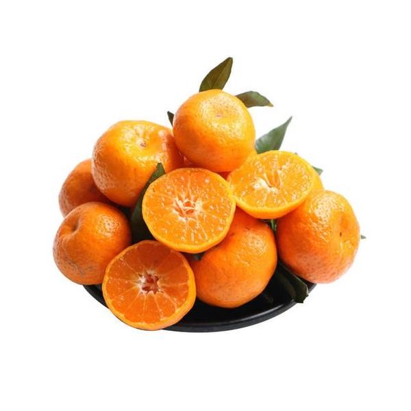 广西砂糖橘2.5kg