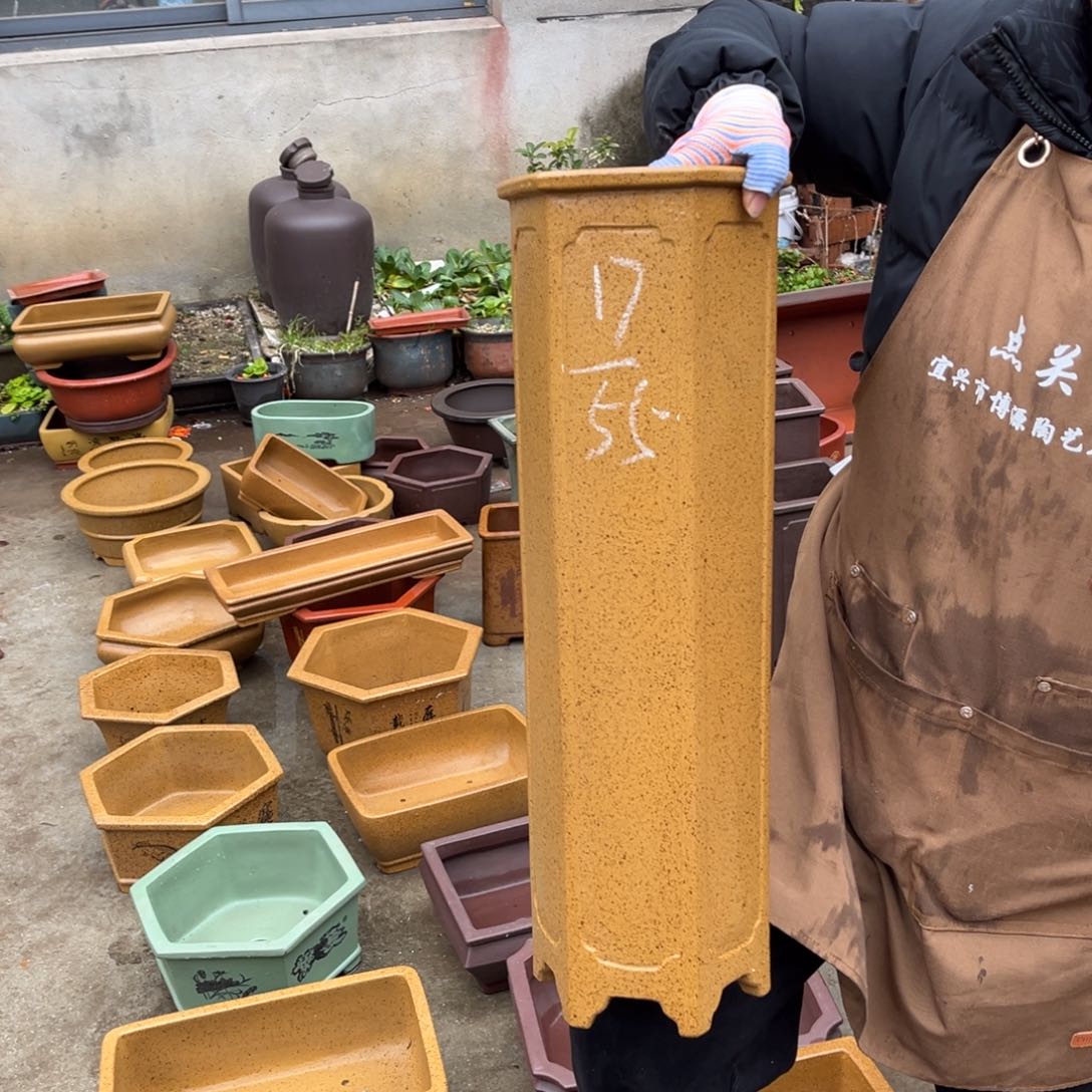 紫砂花盆盆景艺术