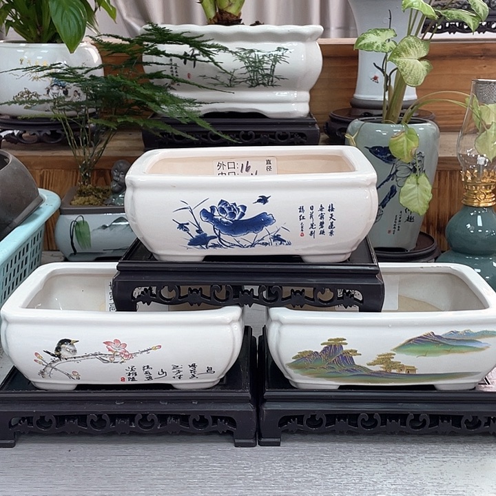 陶瓷花盆抢购福利活动中