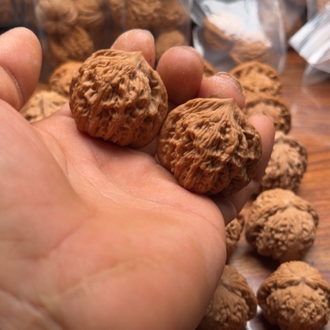 文玩核桃把件麦穗