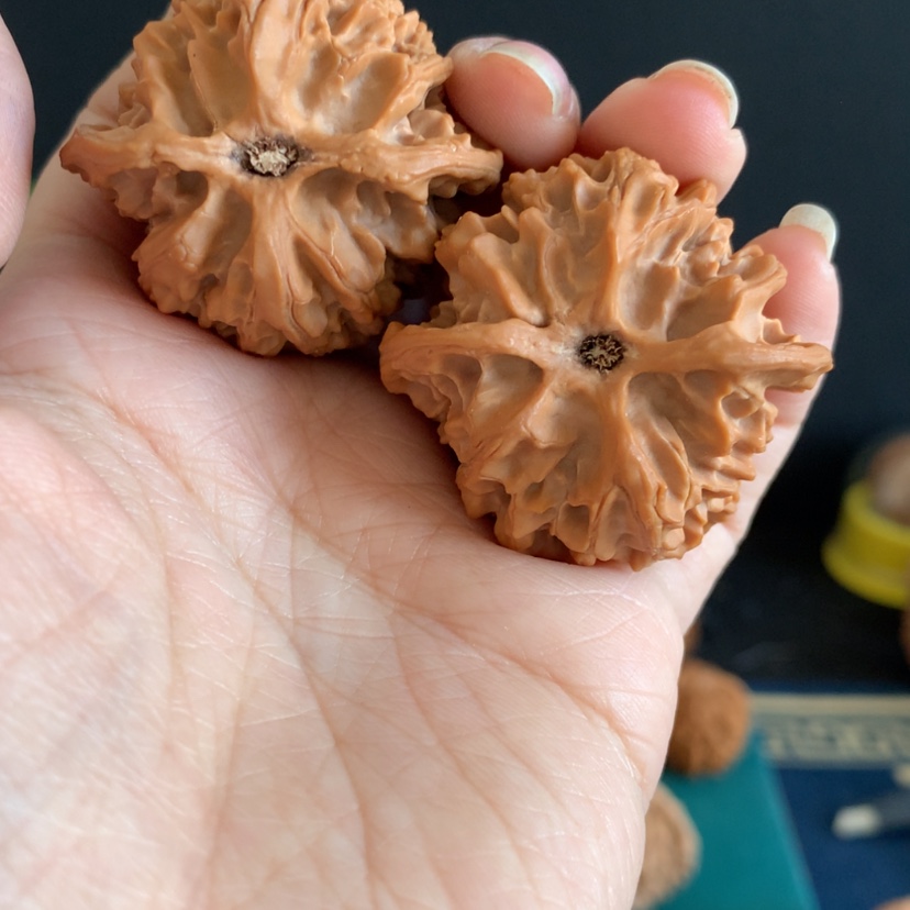 【闪购商品】核桃手串/手链阿*41苹果园编号1351