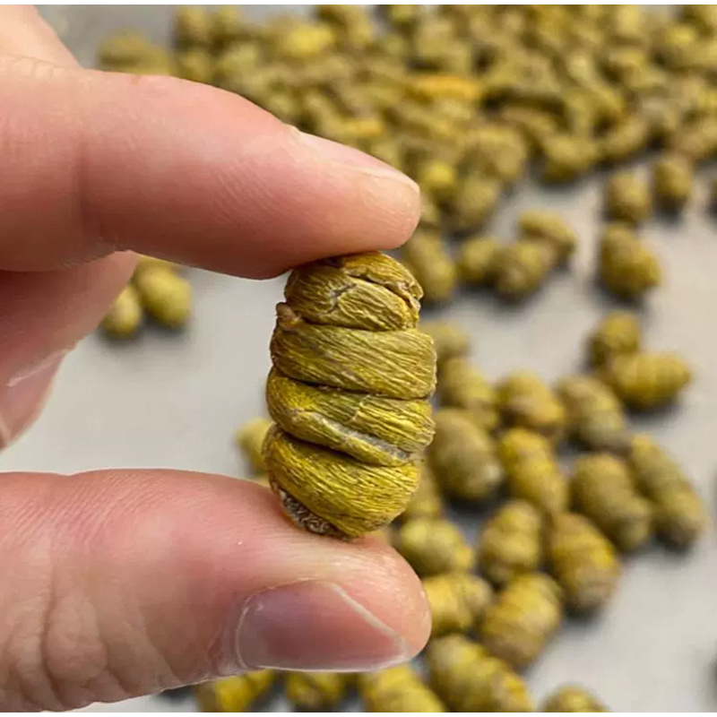 粒装铁皮石斛  干货莲农产品子