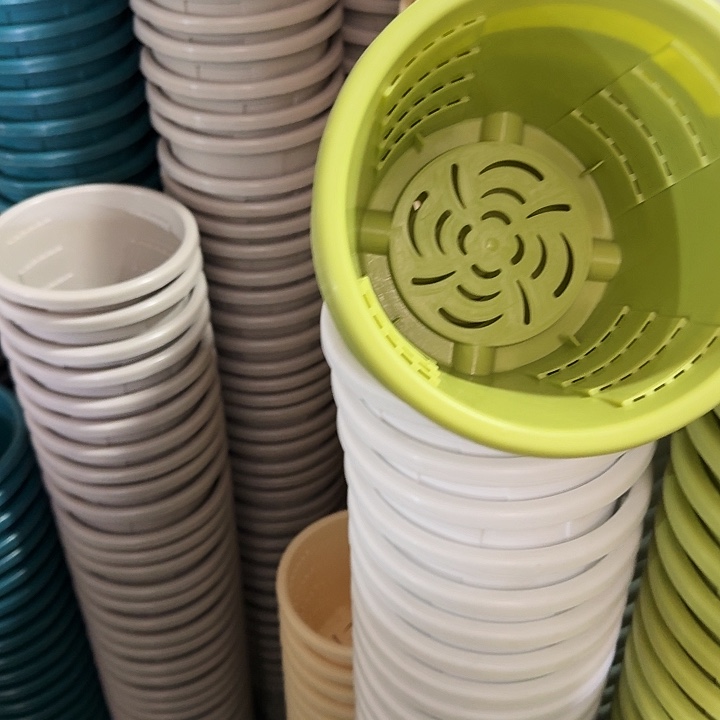 测19口径6个无托果绿