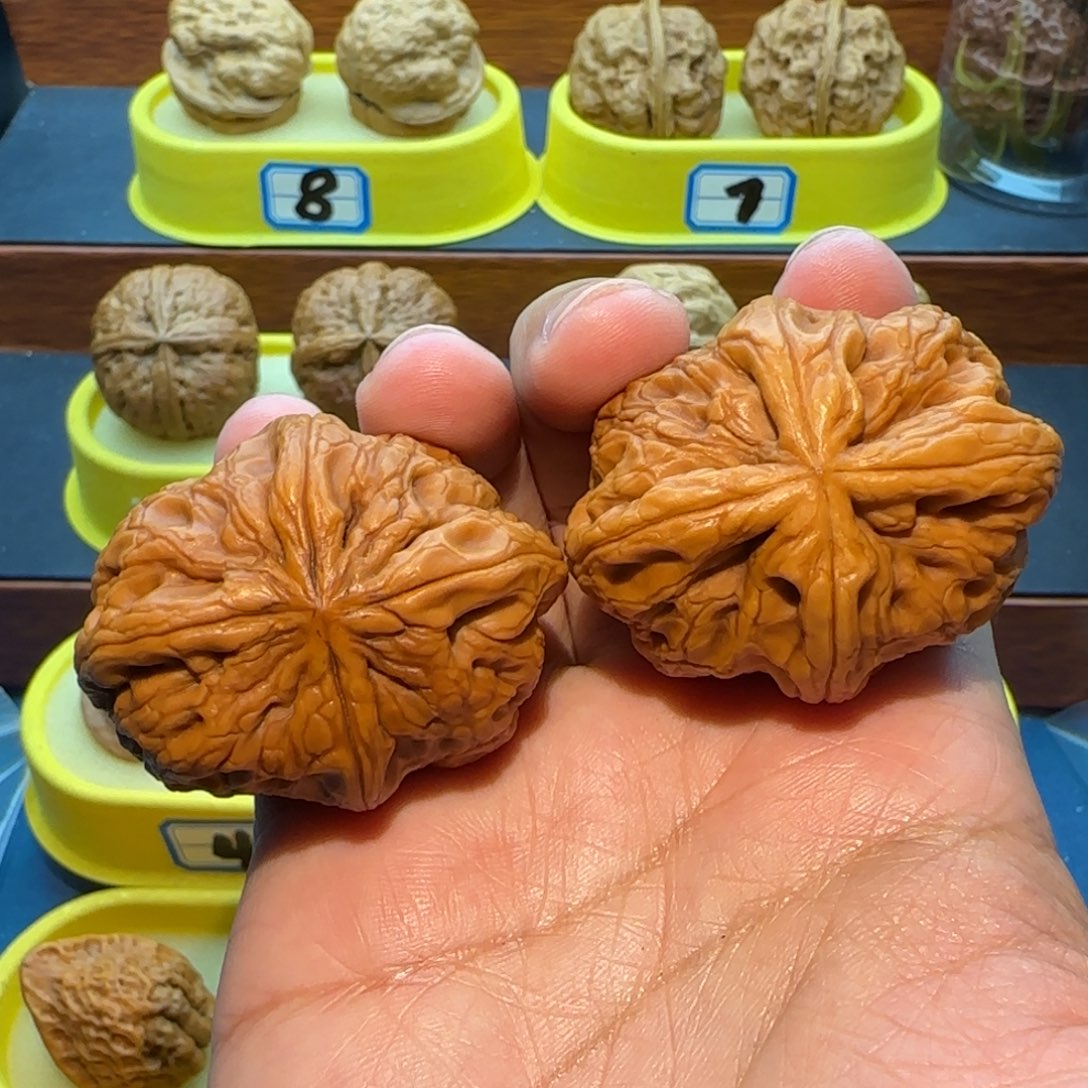 永***恒桃核把件四棱核桃