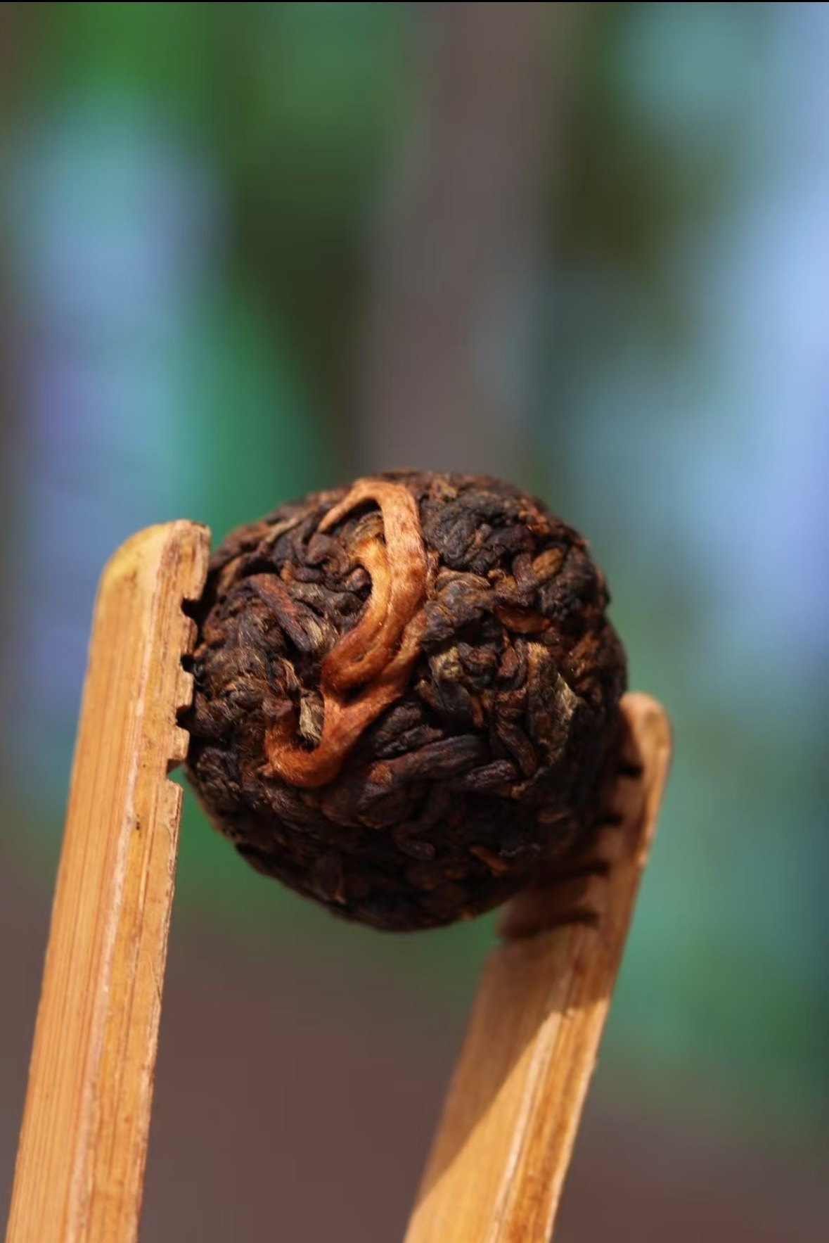 珍冰岛!23年头春头采冰岛老寨古树纯料熟茶龙珠 茶性温 厚滑甘甜