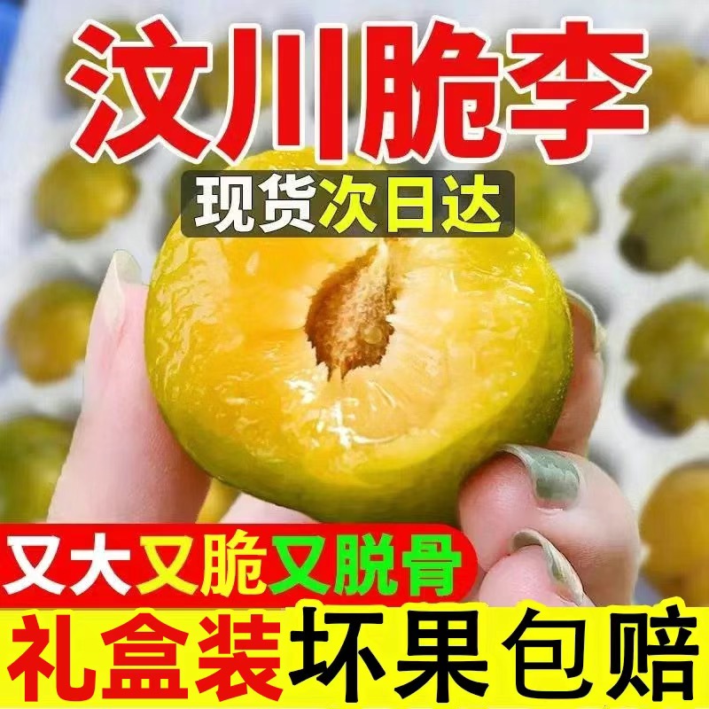 【顺丰冷链】四川汶川青脆李汶川脱骨新鲜李子空心脱骨现摘现发酸甜