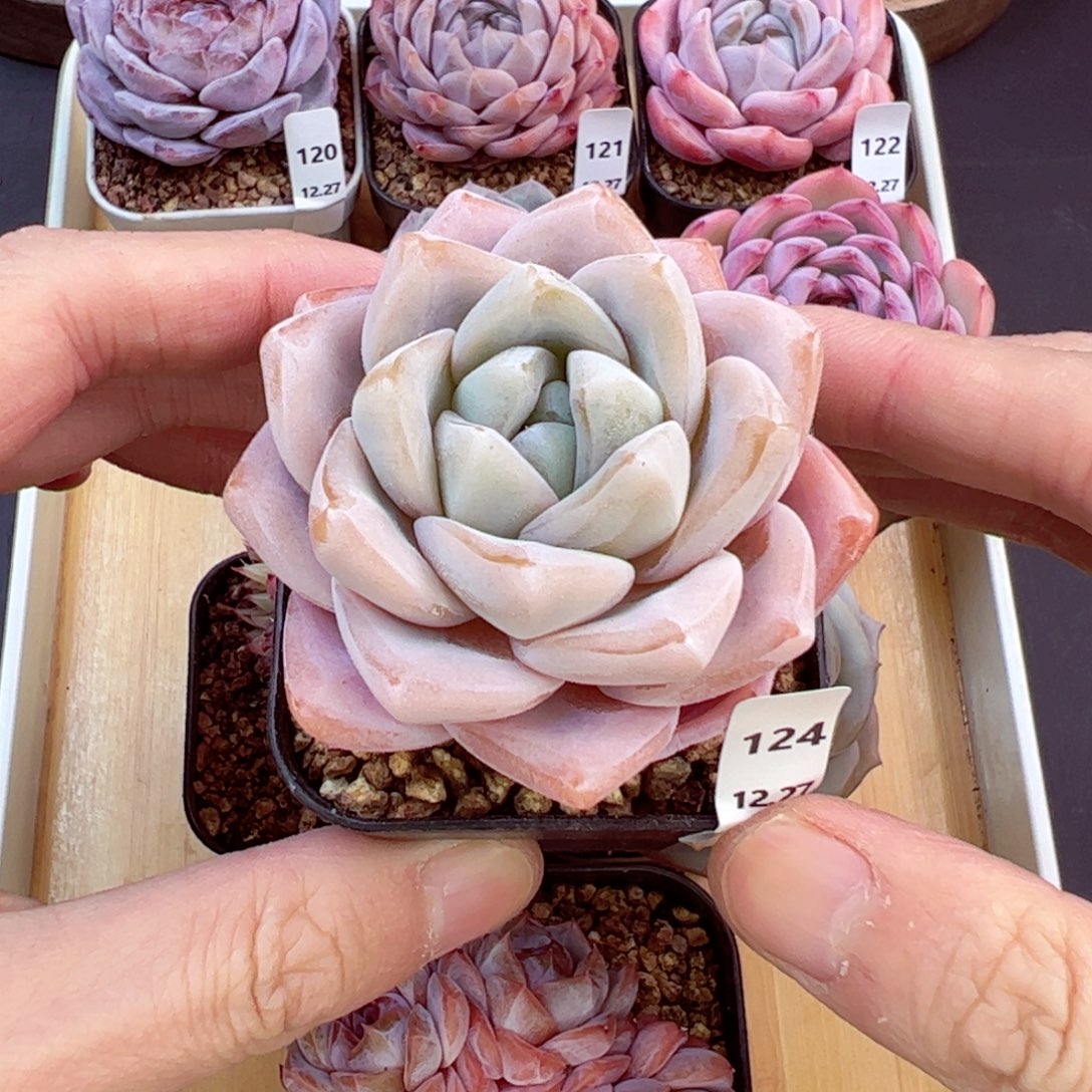 好好看124、哈哈哈哈