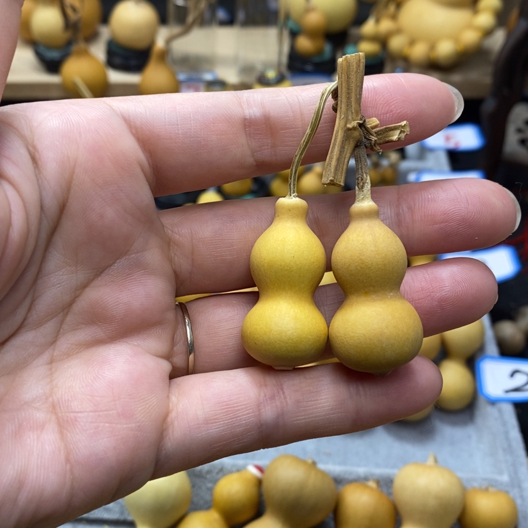 一**?直播间手把手小葫芦