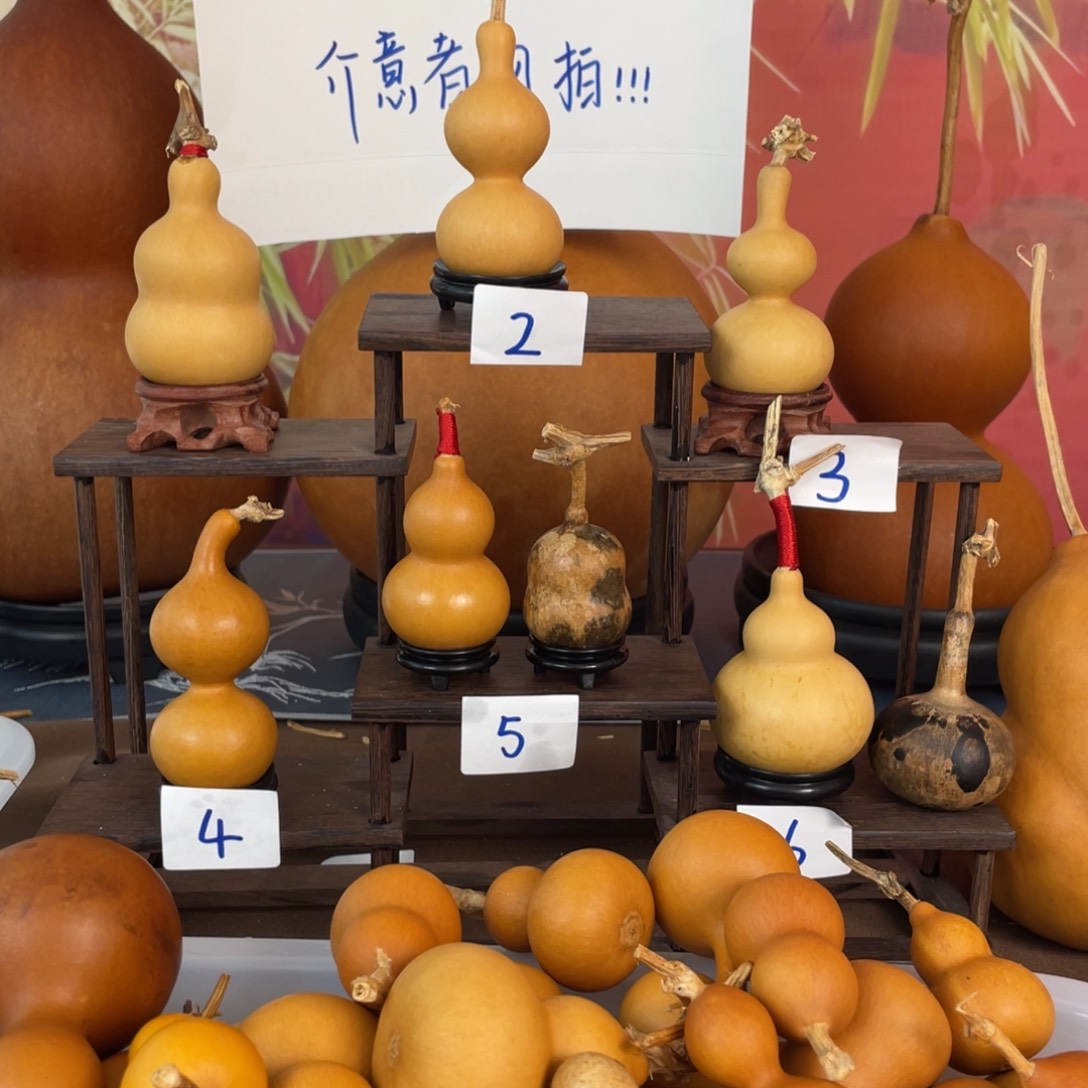 有机玻璃虾***3葫芦