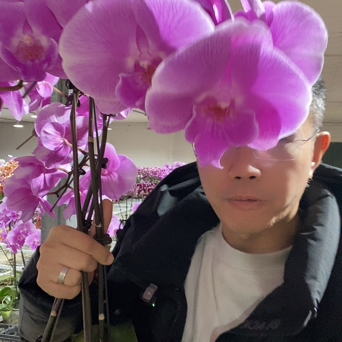 完全开放桃花运3.5寸大杯1颗