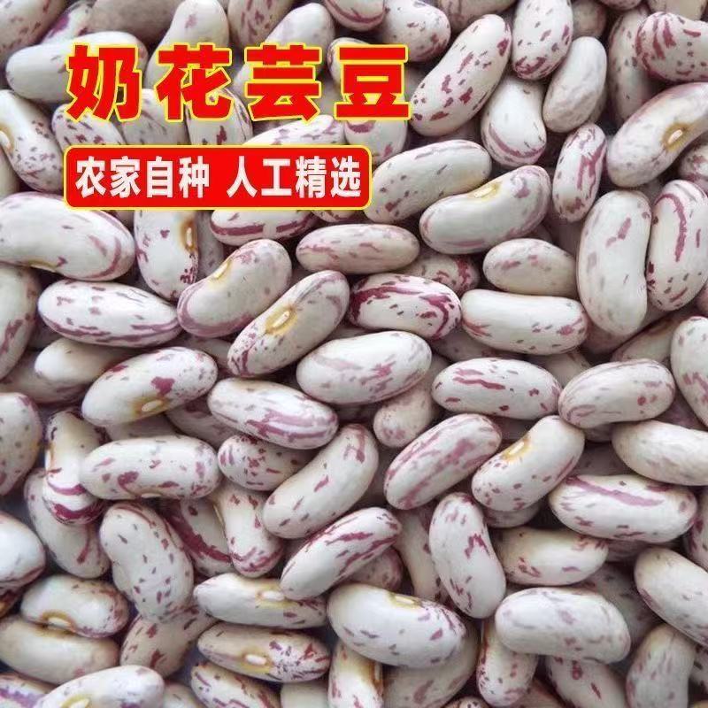 农家正宗奶花芸豆原产地直发营养丰富可煮粥的五谷杂粮