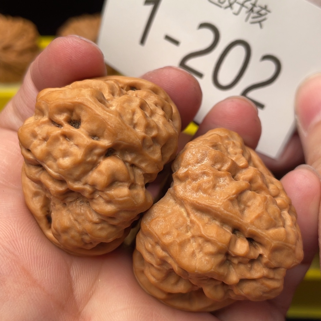 文玩核桃把件毕业大肚金蟾40