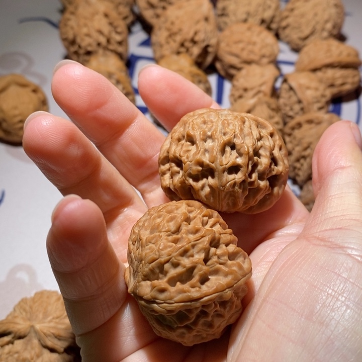 把件文玩核桃攀****玛龙眼