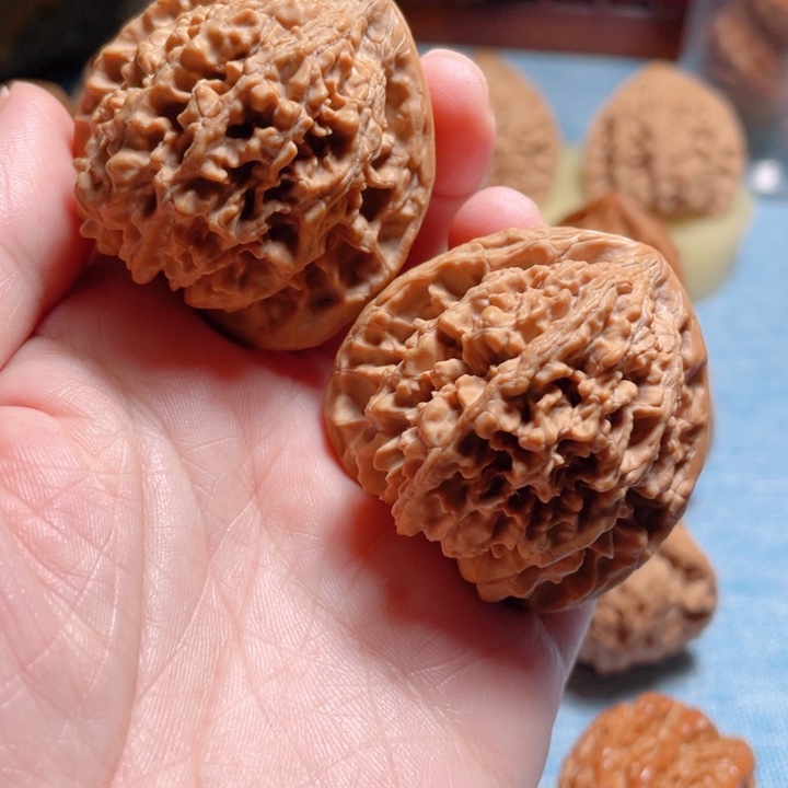 41尺寸满天星狮子头