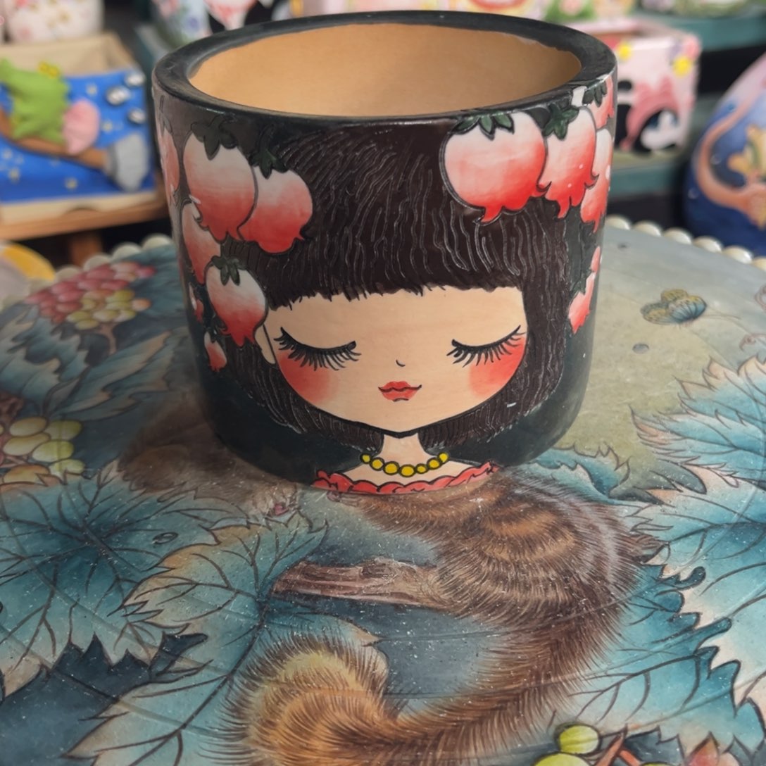 1***t309多肉花盆38元1个