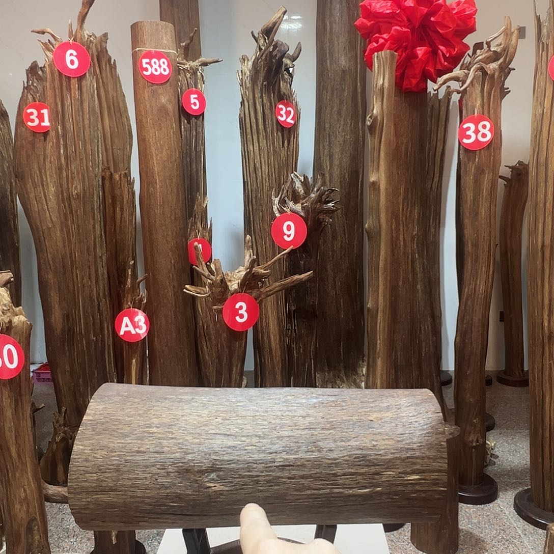 伍***坡沉香沉香碎屑沉香原料