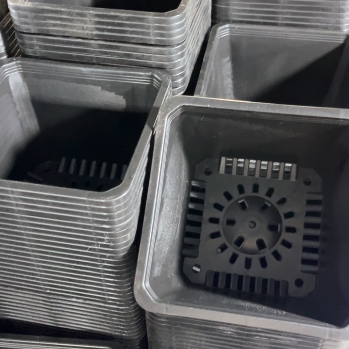 红陶黑方口15高10 －组20