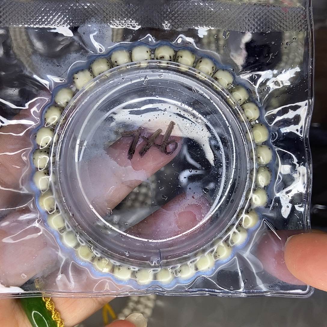 星月菩提手串星月