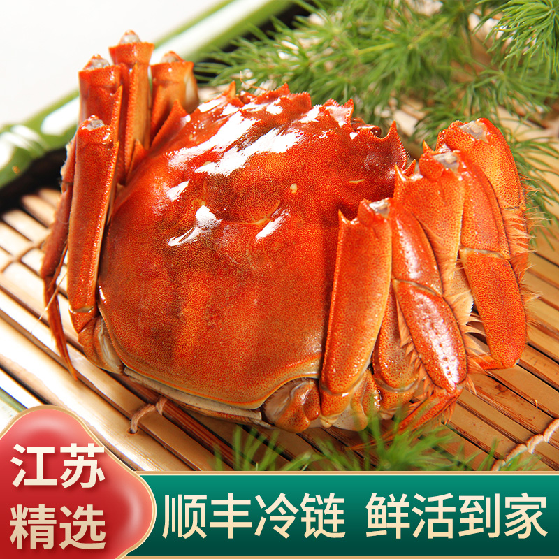 【活蟹】新鲜活河蟹 1.3-1.0两/15+5只公母对半蟹 顺丰包邮