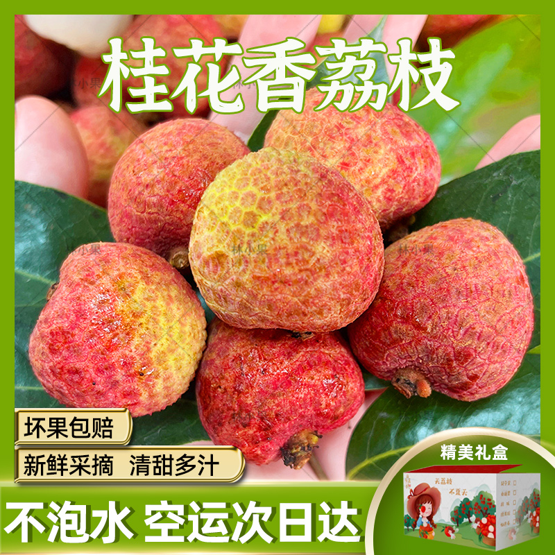 【顺丰】海南桂花香荔枝1/3/5斤 头茬鲜果 新鲜采摘不泡水不催熟 应季水果整箱包邮海南省