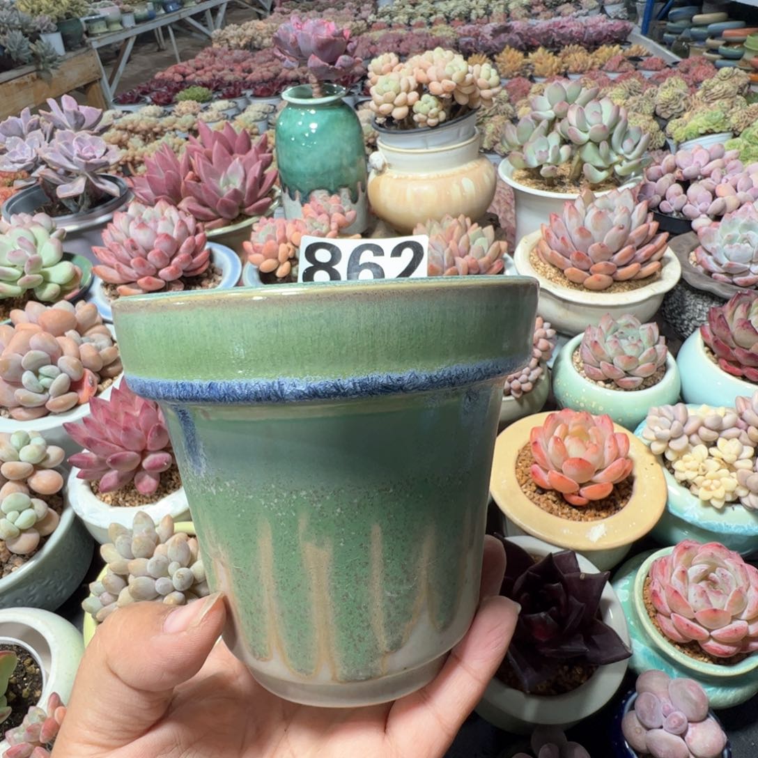 花盆满50发货 内口10.5