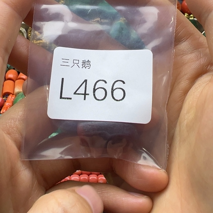 在***海吊坠菩提根/象牙果