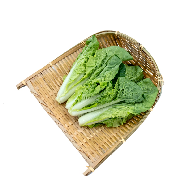 东升农场 供港杭白菜 杭白苗 小白菜 火锅食材 广州配送 250g