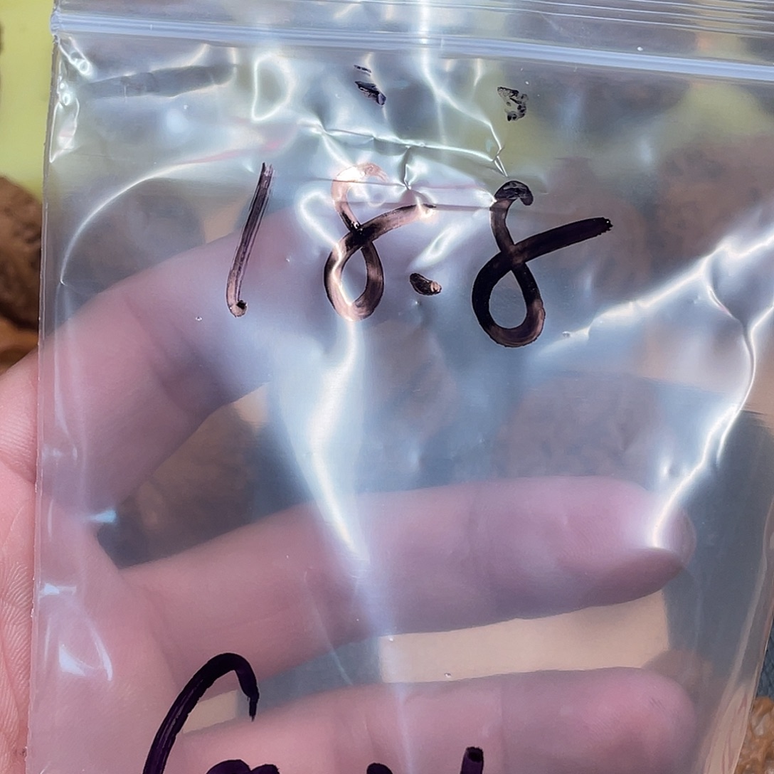 G***N吊坠文玩核桃塔尖